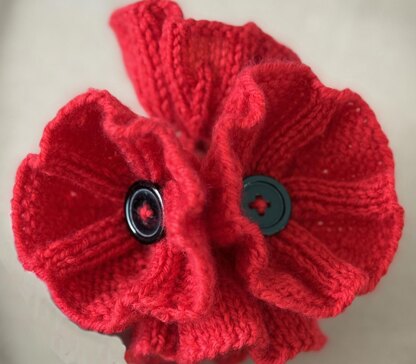 Poppy Flower