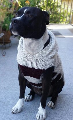 Pitty Perfect Sweater