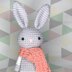 Biscuit the bunny