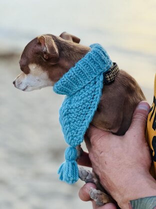Dog Bandana Cowl