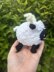 Valais Black Nose Sheep