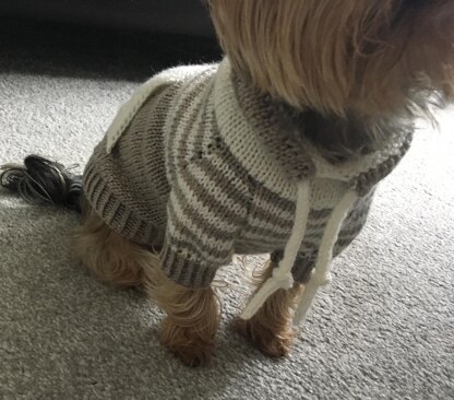 Oatmeal Sweater with Kangaroo Pocket for Dogs