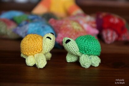 Mini-Turtle
