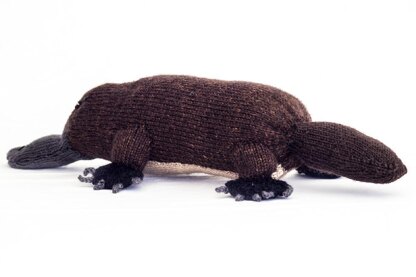 Australian Platypus