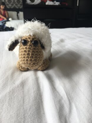 Sheep