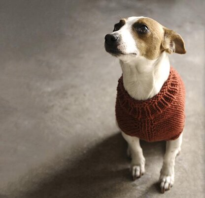 The Juno Jumper Knitting pattern by Alice Neal