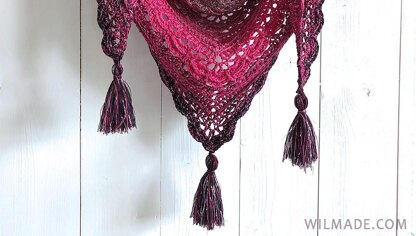 Ana Lucia Shawl