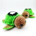 Turtle Custom Kiwi