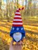 Patriotic gnome USA (boy2)