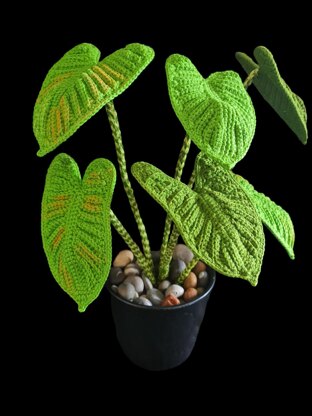 Crochet Elephant ear/Zebrina plant