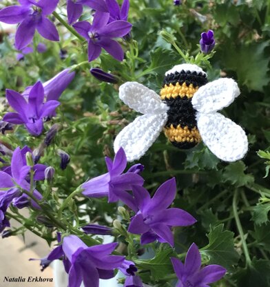 Bumblebee and Dragonfly