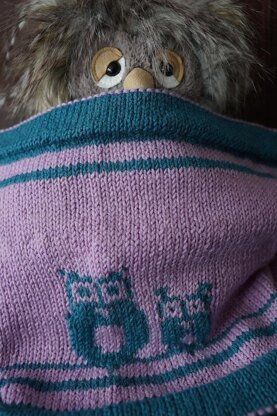 Two Hoots Cowl and Mittens