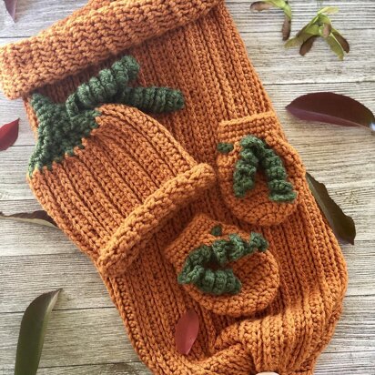 Pumpkin Newborn Set