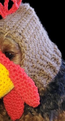 Turkey Dog Hat