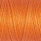 Dusky Orange (285)