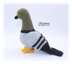 Pigeon Crochet Pattern