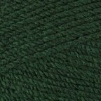 Paintbox Yarns Simply Chunky 10er Sparset - Racing Green (327)