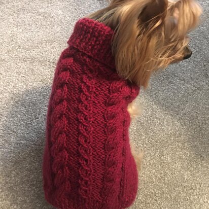 Battersea dog shop coat knitting pattern