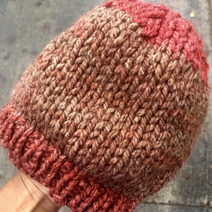 Simple Chunky Beanie