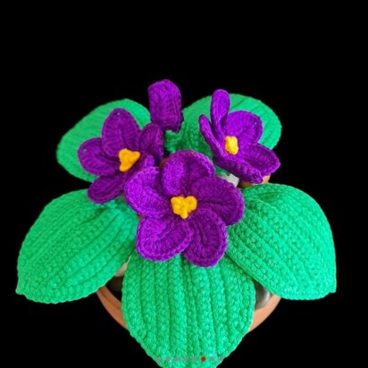 Crochet African Violets flowers