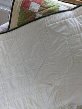 Nine Block Sampler Quilt #7