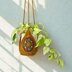 African Flower Plant Hanger