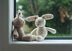 Briar Bunny
