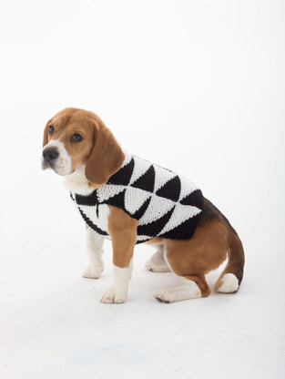 Louis Pup Monogram Knit Dog Sweater, Paws Circle