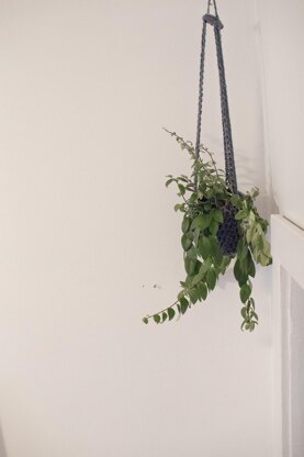 Denise's Plant Hanger