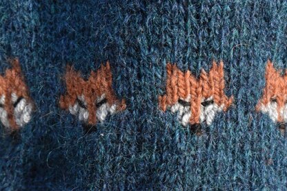 Child's Foxy Jumper