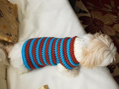 Lou Lou Sporty Dog Sweater