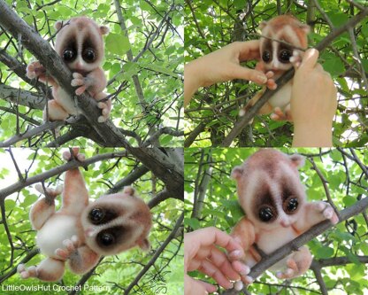 109 Slow Loris animal