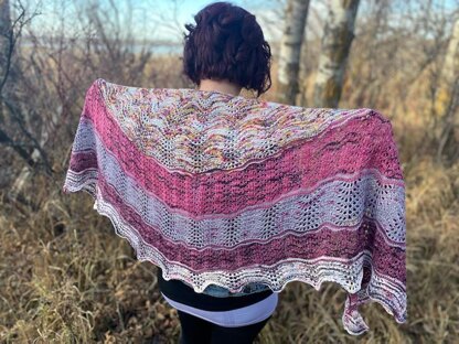 Wayward Shawl