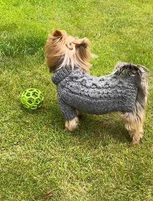 Slate Dog Sweater