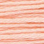 Peach Rose Light (VAS1262)