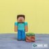 Steve from "Minecraft" by AradiyaToys