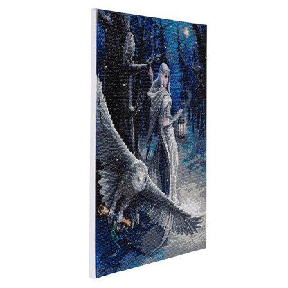 Crystal Art Midnight Messenger, 40x50cm Diamond Painting Kit
