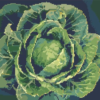 Glorious Cabbage - PDF