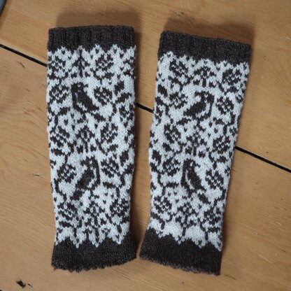 Dr. Maria Andrade arm warmers or cuffs