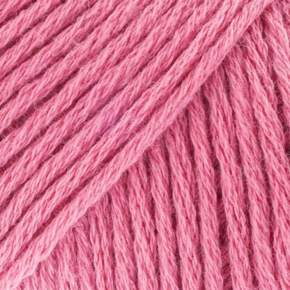 Tea Rose (CW210)
