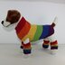 Rainbow Dog Coat and Legwarmers