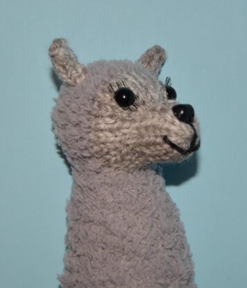 Alois The Alpaca