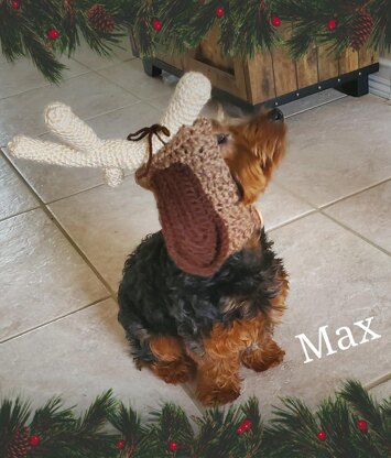 Grinch Inspired Max Dog Hood