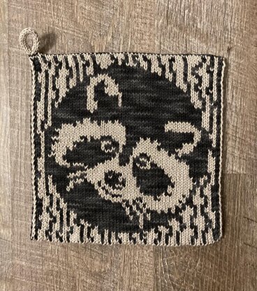 Woodland Raccoon Potholder