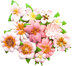 Prima Marketing Mulberry Paper Flowers - Ella/Havana, 12/Pkg