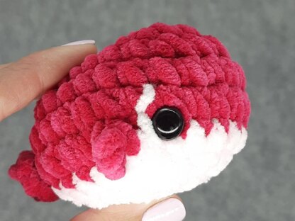 Whale worry pet