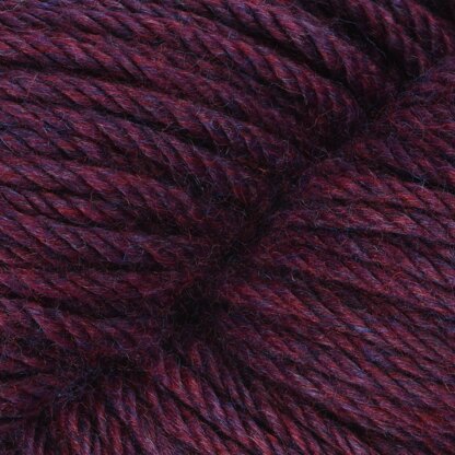 Dried Plum (6180)