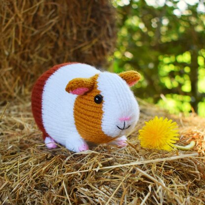 Gordon the Guinea Pig