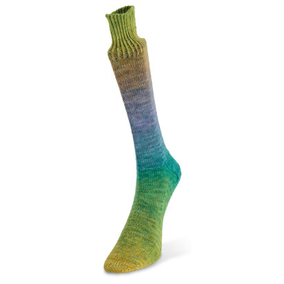 Laines Du Nord Watercolor Sock