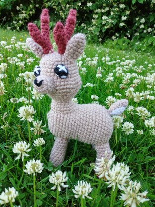 Meet Clover the Deer
